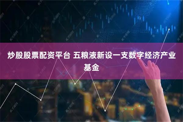 炒股股票配资平台 五粮液新设一支数字经济产业基金