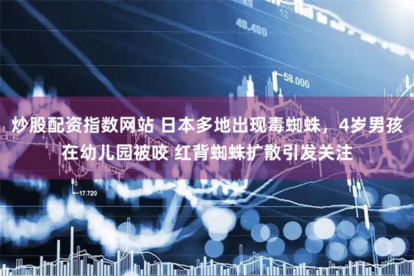 炒股配资指数网站 日本多地出现毒蜘蛛，4岁男孩在幼儿园被咬 红背蜘蛛扩散引发关注