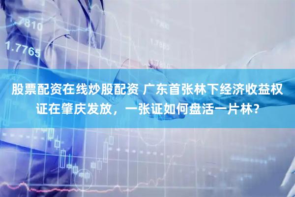 股票配资在线炒股配资 广东首张林下经济收益权证在肇庆发放，一张证如何盘活一片林？
