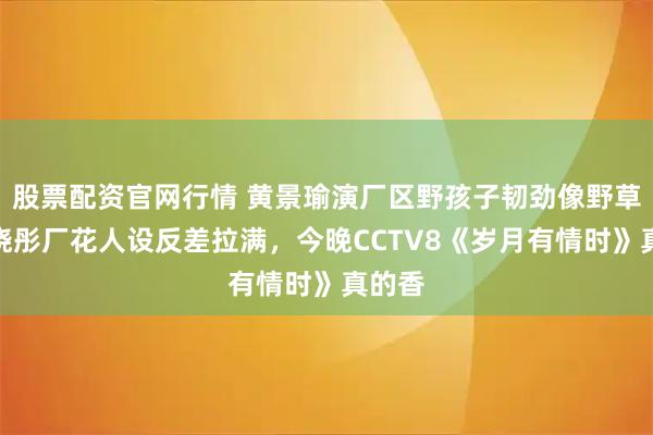 股票配资官网行情 黄景瑜演厂区野孩子韧劲像野草，关晓彤厂花人设反差拉满，今晚CCTV8《岁月有情时》真的香